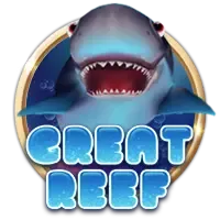 Card 228